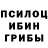 Псилоцибиновые грибы Magic Shrooms Marwa Sayed