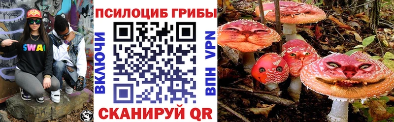 наркотики  Якутск  Псилоцибиновые грибы MAGIC MUSHROOMS 