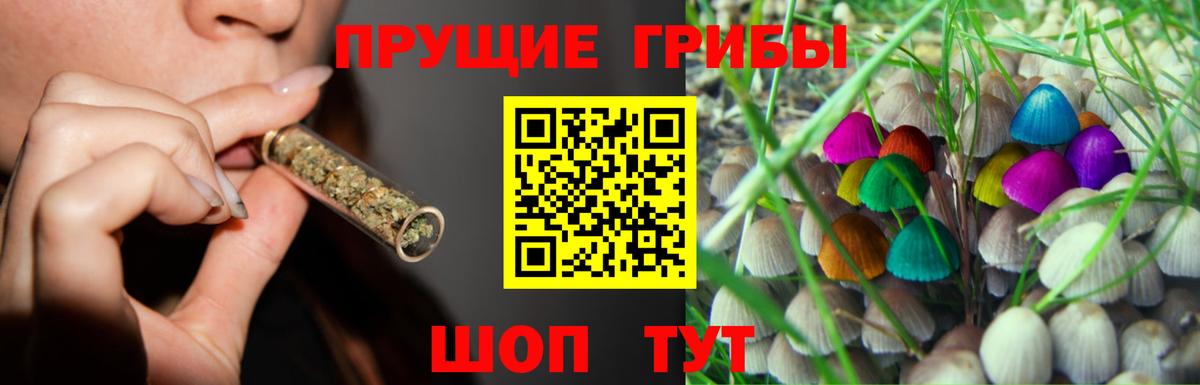 Якутск  Галлюциногенные грибы мицелий  Вход с VPN 